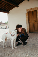 画像をギャラリービューアに読み込む, ZEBRA JUMPER セーター / MULTICOLOR / AW25-13691